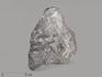 Метеорит Muonionalusta, пластина 12,2х10х0,2 см (101,5 г), 19840, фото 1