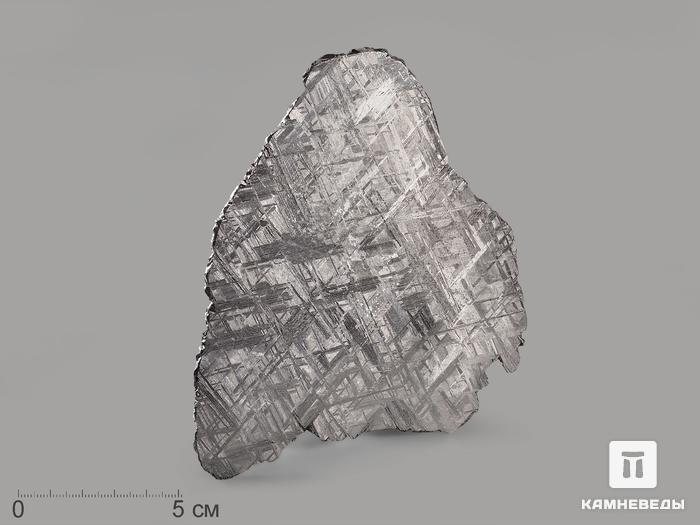 Метеорит Muonionalusta, пластина 12,2х10х0,2 см (101,5 г), 19840, фото 1