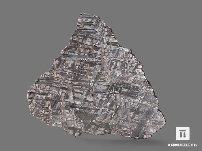 Метеорит Muonionalusta, пластина 12,2х10х0,2 см (101,5 г), 19840, фото 3