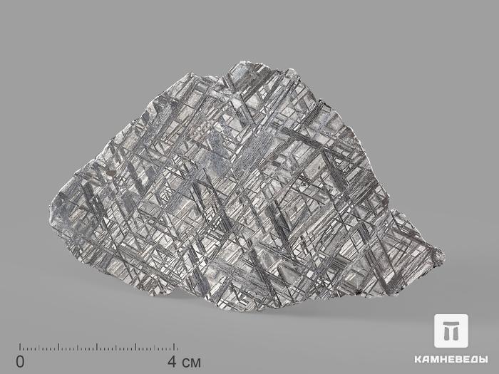 Метеорит Muonionalusta, пластина 12,8х7,7х0,2 см (75,6 г), 20914, фото 1